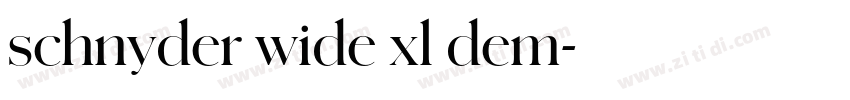 schnyder wide xl dem字体转换